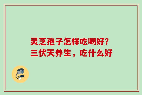 灵芝孢子怎样吃喝好？三伏天养生，吃什么好