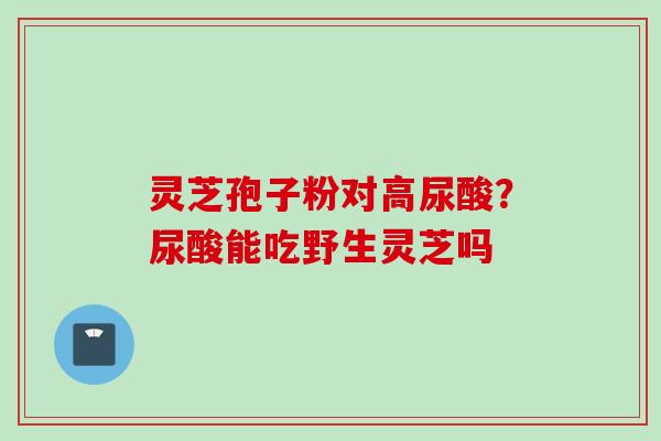 灵芝孢子粉对高尿酸？尿酸能吃野生灵芝吗