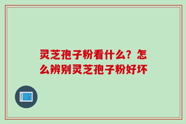 灵芝孢子粉看什么？怎么辨别灵芝孢子粉好坏