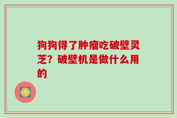 狗狗得了肿瘤吃破壁灵芝？破壁机是做什么用的