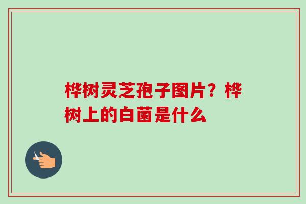 桦树灵芝孢子图片？桦树上的白菌是什么