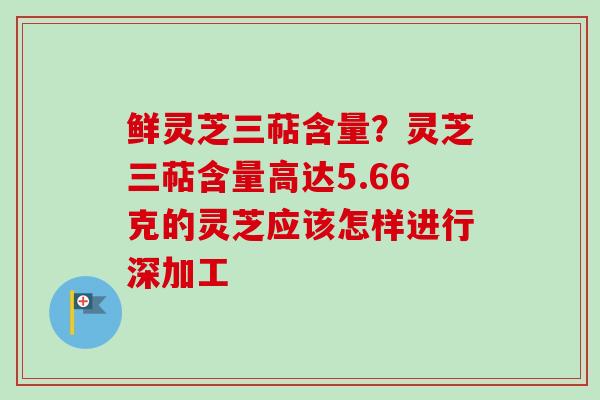 鲜灵芝三萜含量？灵芝三萜含量高达5.66克的灵芝应该怎样进行深加工