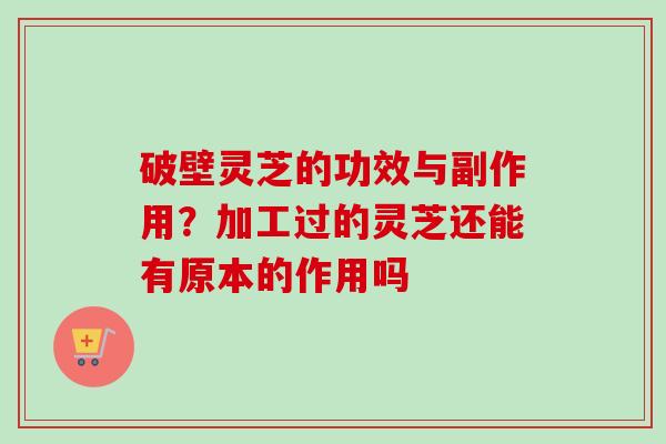 破壁灵芝的功效与副作用？加工过的灵芝还能有原本的作用吗