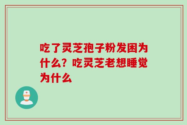 吃了灵芝孢子粉发困为什么？吃灵芝老想睡觉为什么