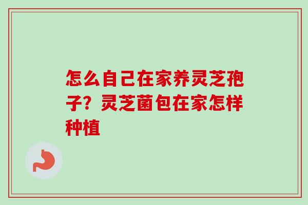怎么自己在家养灵芝孢子？灵芝菌包在家怎样种植