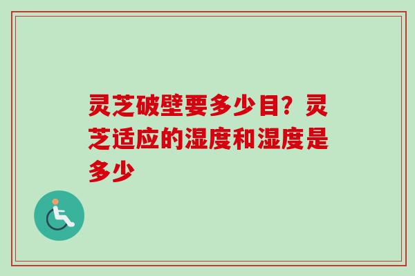 灵芝破壁要多少目？灵芝适应的湿度和湿度是多少