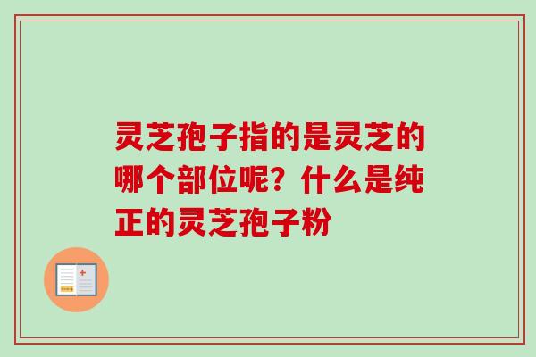 灵芝孢子指的是灵芝的哪个部位呢?什么是纯正的灵芝孢子粉 灵芝孢子指的是灵芝的哪个部位呢?什么是纯正的灵芝孢子粉