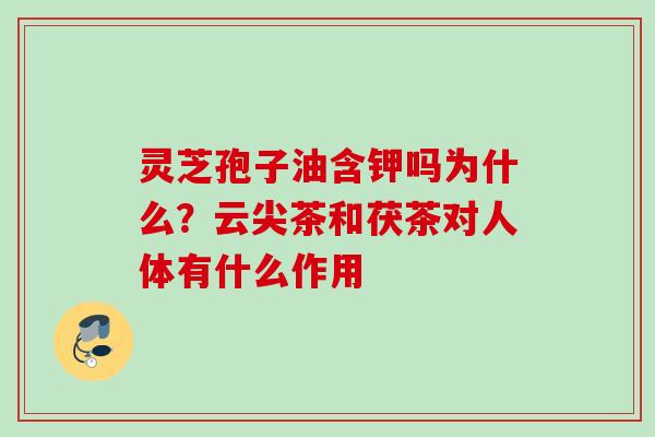 灵芝孢子油含钾吗为什么？云尖茶和茯茶对人体有什么作用