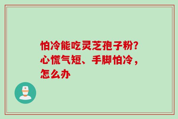 怕冷能吃灵芝孢子粉？心慌气短、手脚怕冷，怎么办