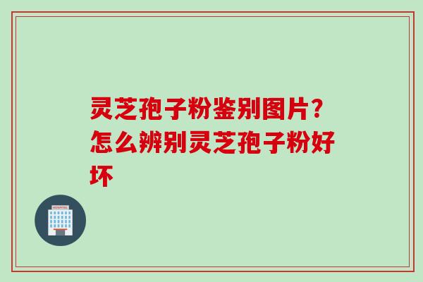 灵芝孢子粉鉴别图片?怎么辨别灵芝孢子粉好坏 灵芝孢子粉鉴别图片?怎么辨别灵芝孢子粉好坏