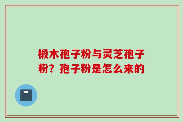 椴木孢子粉与灵芝孢子粉？孢子粉是怎么来的