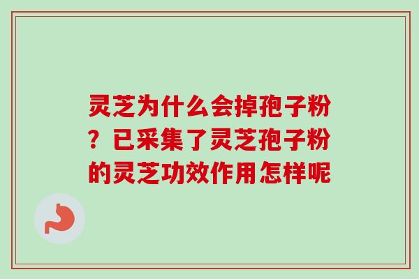 灵芝为什么会掉孢子粉？已采集了灵芝孢子粉的灵芝功效作用怎样呢