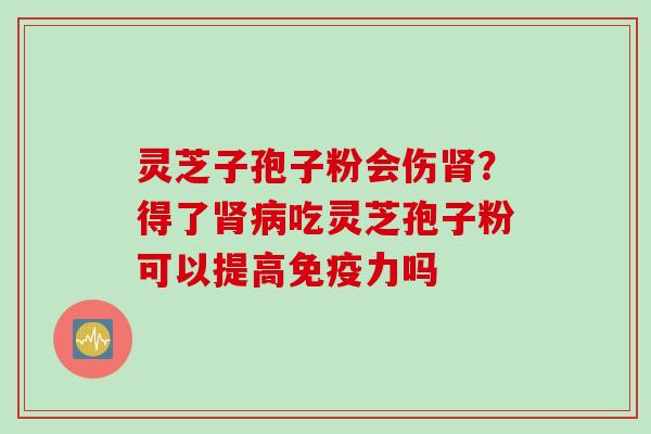 灵芝子孢子粉会伤肾？得了肾病吃灵芝孢子粉可以提高免疫力吗