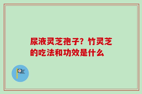 尿液灵芝孢子？竹灵芝的吃法和功效是什么