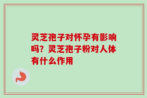 灵芝孢子对怀孕有影响吗?灵芝孢子粉对人体有什么作用 灵芝孢子对怀孕有影响吗?灵芝孢子粉对人体有什么作用