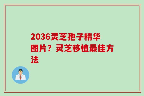 2036灵芝孢子精华图片？灵芝移植最佳方法