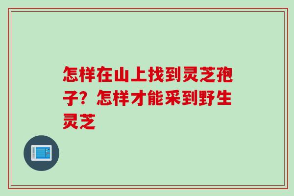 怎样在山上找到灵芝孢子？怎样才能采到野生灵芝
