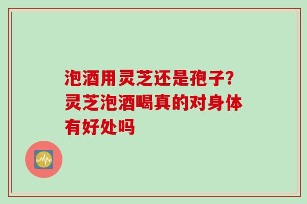 泡酒用灵芝还是孢子?灵芝泡酒喝真的对身体有好处吗 泡酒用灵芝还是孢子?灵芝泡酒喝真的对身体有好处吗