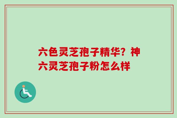 六色灵芝孢子精华？神六灵芝孢子粉怎么样