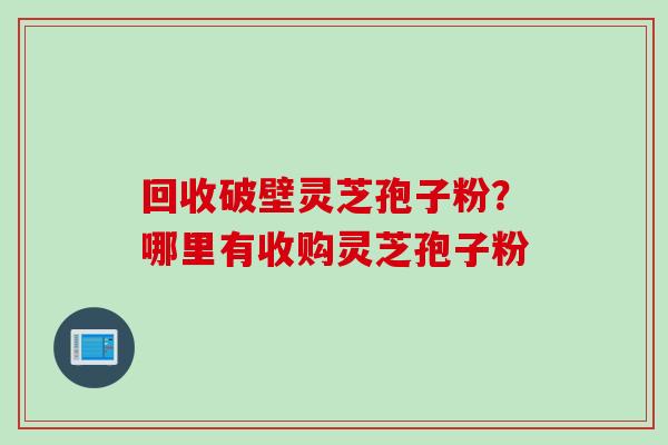 回收破壁灵芝孢子粉？哪里有收购灵芝孢子粉