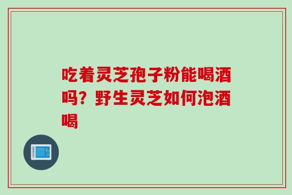 吃着灵芝孢子粉能喝酒吗?野生灵芝如何泡酒喝 吃着灵芝孢子粉能喝酒吗?野生灵芝如何泡酒喝