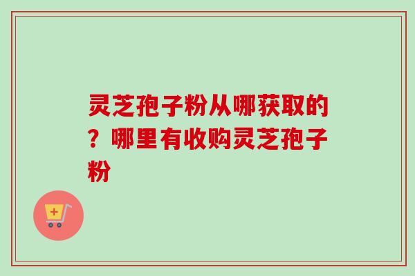 灵芝孢子粉从哪获取的？哪里有收购灵芝孢子粉