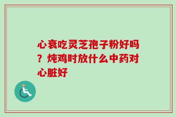 心衰吃灵芝孢子粉好吗?炖鸡时放什么对好 心衰吃灵芝孢子粉好吗?炖鸡时放什么对好