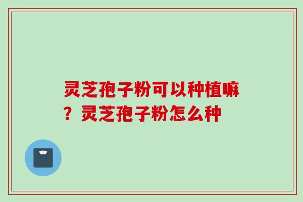 灵芝孢子粉可以种植嘛？灵芝孢子粉怎么种
