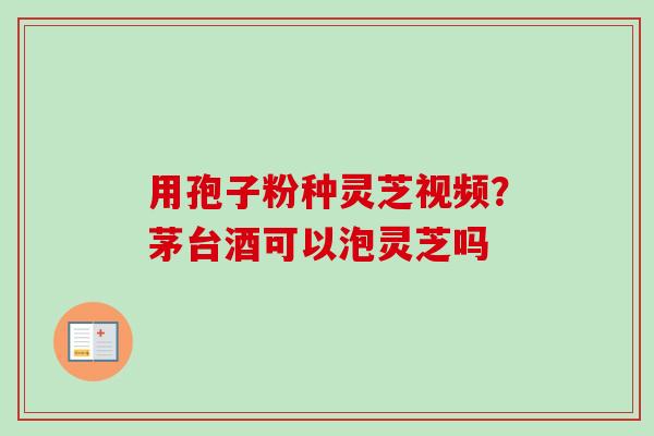 用孢子粉种灵芝视频？茅台酒可以泡灵芝吗