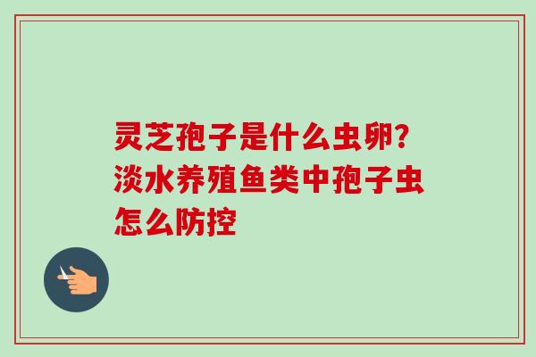 灵芝孢子是什么虫卵？淡水养殖鱼类中孢子虫怎么防控