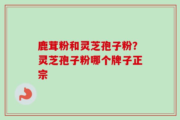 鹿茸粉和灵芝孢子粉?灵芝孢子粉哪个牌子正宗 鹿茸粉和灵芝孢子粉?灵芝孢子粉哪个牌子正宗