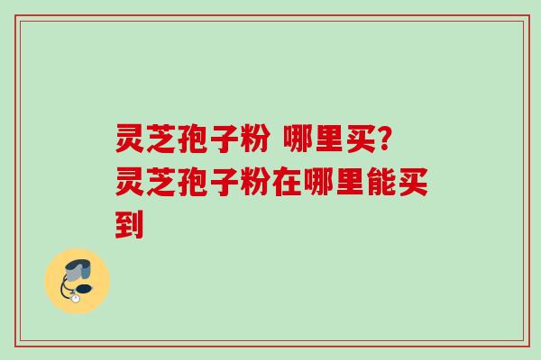 灵芝孢子粉 哪里买？灵芝孢子粉在哪里能买到