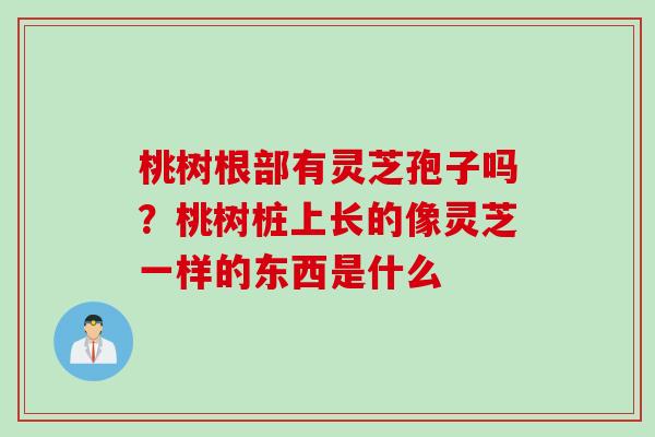 桃树根部有灵芝孢子吗?桃树桩上长的像灵芝一样的东西是什么 桃树根部有灵芝孢子吗?桃树桩上长的像灵芝一样的东西是什么