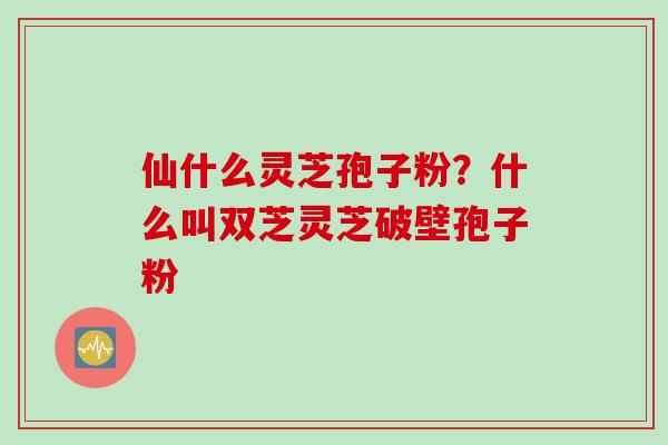 仙什么灵芝孢子粉?什么叫双芝灵芝破壁孢子粉 仙什么灵芝孢子粉?什么叫双芝灵芝破壁孢子粉