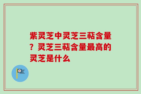 紫灵芝中灵芝三萜含量？灵芝三萜含量最高的灵芝是什么