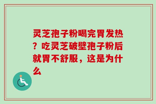 灵芝孢子粉喝完胃发热？吃灵芝破壁孢子粉后就胃不舒服，这是为什么