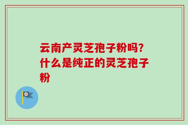 云南产灵芝孢子粉吗？什么是纯正的灵芝孢子粉