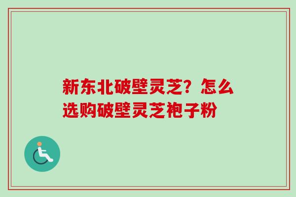 新东北破壁灵芝？怎么选购破壁灵芝袍子粉
