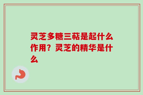 灵芝多糖三萜是起什么作用？灵芝的精华是什么
