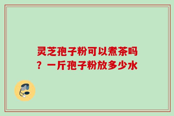 灵芝孢子粉可以煮茶吗？一斤孢子粉放多少水