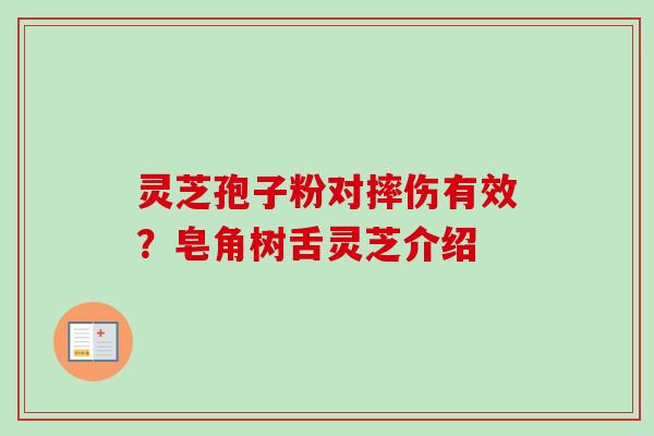 灵芝孢子粉对摔伤有效？皂角树舌灵芝介绍