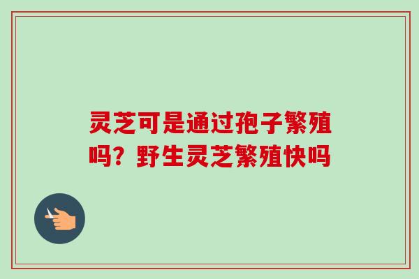 灵芝可是通过孢子繁殖吗？野生灵芝繁殖快吗
