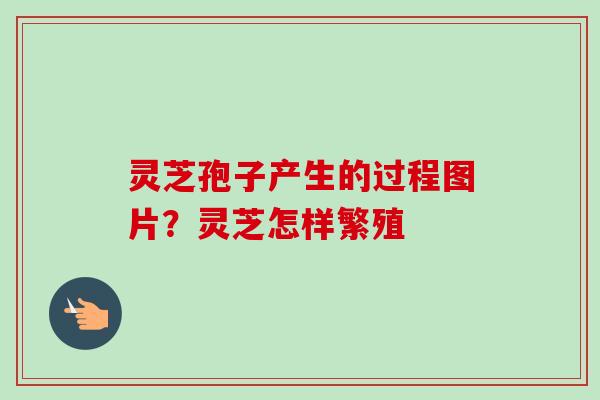灵芝孢子产生的过程图片？灵芝怎样繁殖