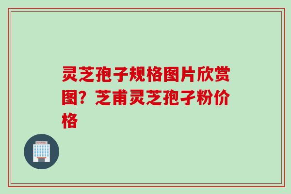 灵芝孢子规格图片欣赏图？芝甫灵芝孢孑粉价格