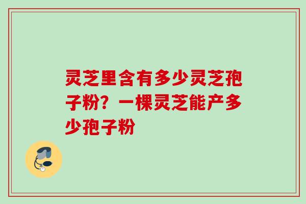灵芝里含有多少灵芝孢子粉？一棵灵芝能产多少孢子粉