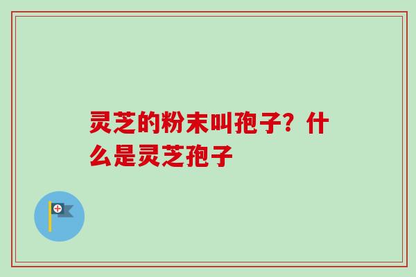 灵芝的粉末叫孢子？什么是灵芝孢子