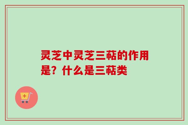 灵芝中灵芝三萜的作用是？什么是三萜类