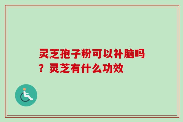 灵芝孢子粉可以补脑吗？灵芝有什么功效