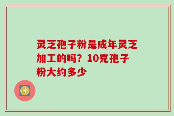 灵芝孢子粉是成年灵芝加工的吗？10克孢子粉大约多少