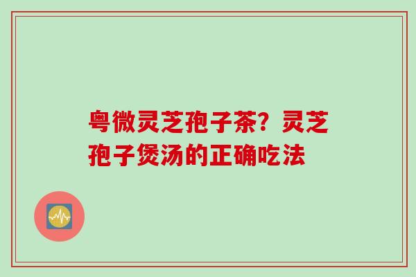 粤微灵芝孢子茶？灵芝孢子煲汤的正确吃法